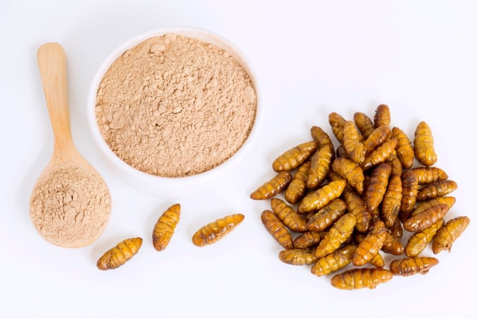 Protein-rich-flour-derived-from-silkworm