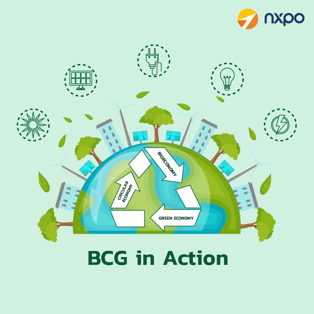 BCG-nxpo