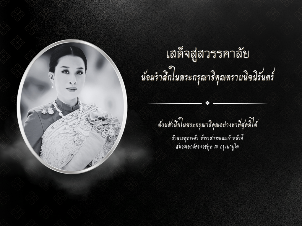 11_มิถุนายน_69_Website