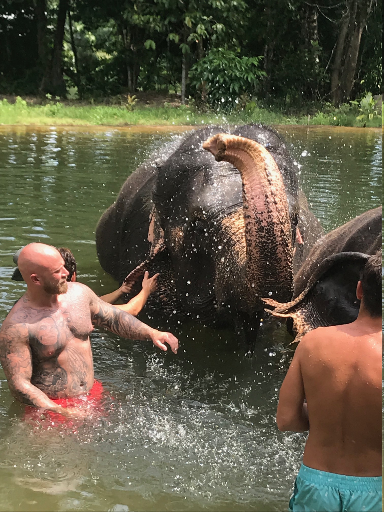 elephant_sanctuary