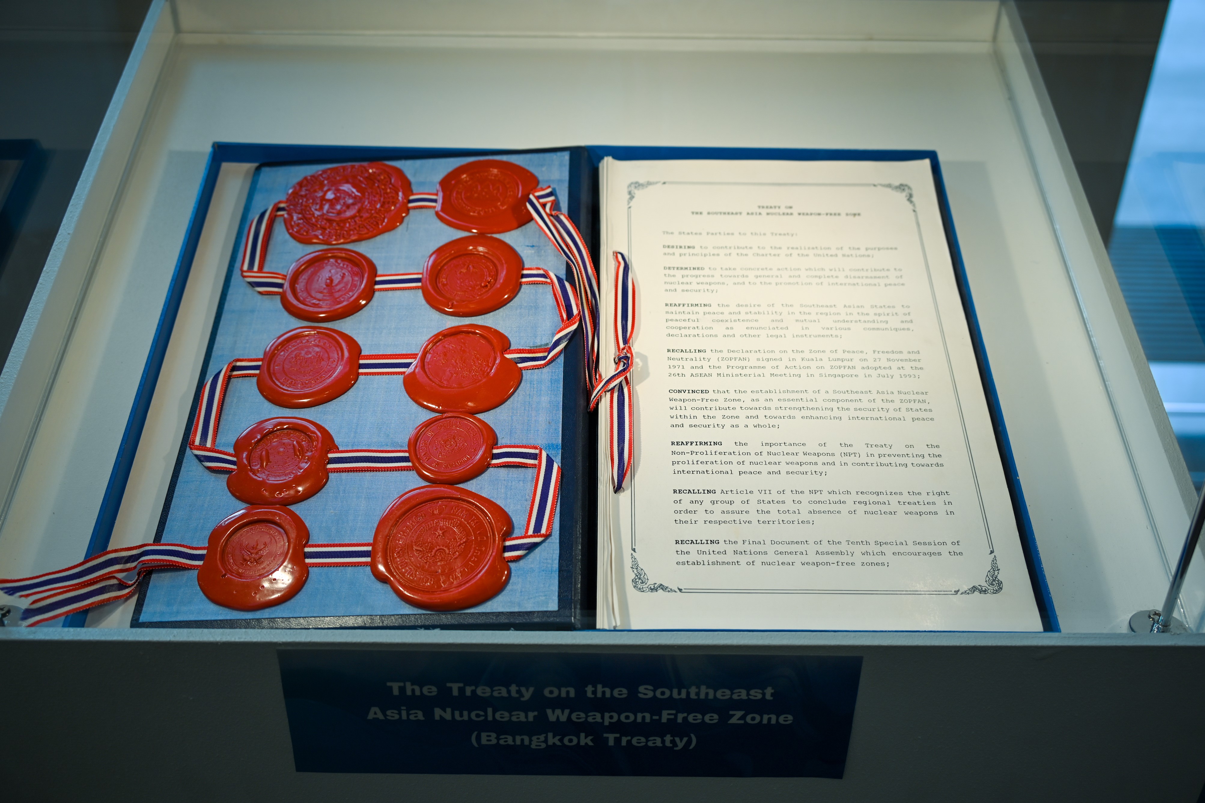 Envisioning a World Free From Nuclear Weapons – Commemorating the 30th ...