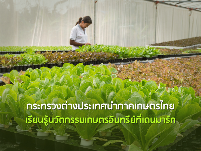 กระทรวงการต่างประเทศนำภาคเกษตรไทย เรียนรู้นวัตกรรมเกษตรอินทรีย์ที่เดนมาร์ก  - ศูนย์บริการข้อมูลเศรษฐกิจระหว่างประเทศ