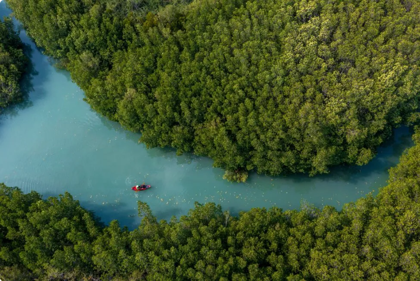 สกรีนช็อต_2025-09-08_110011