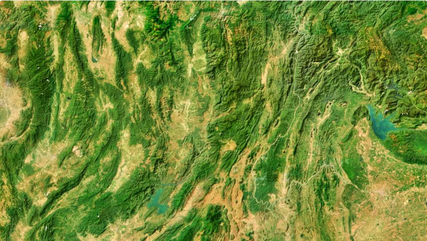 สกรีนช็อต_2025-09-08_110109