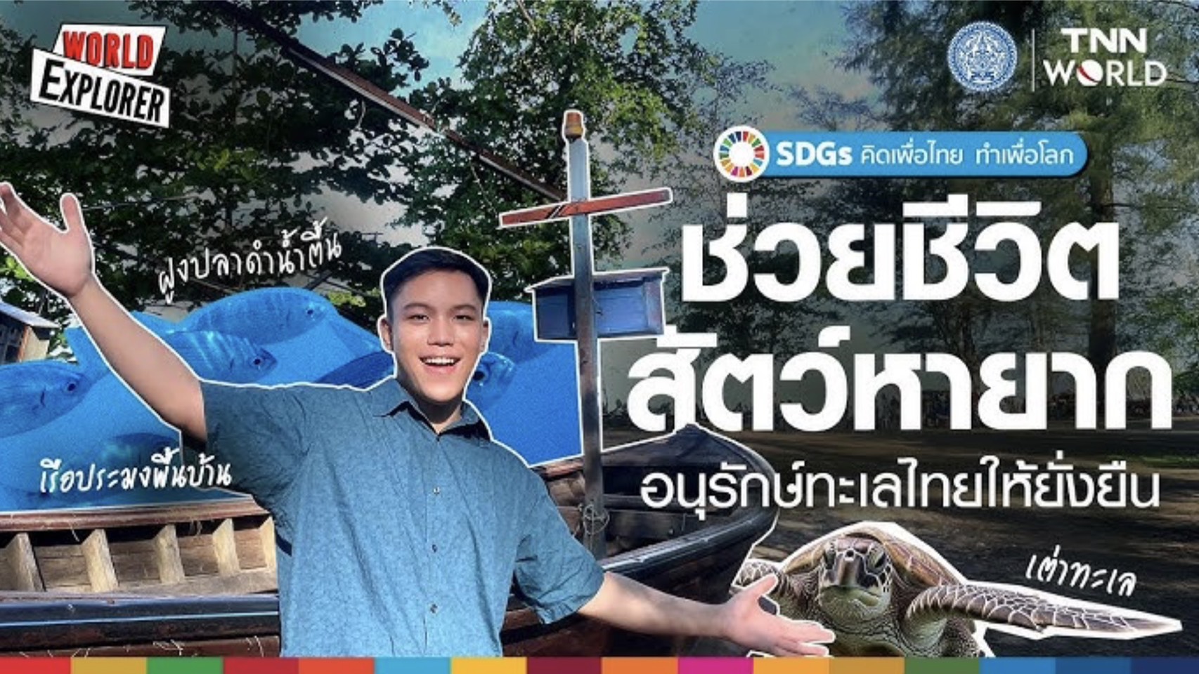 เต่าทะเล