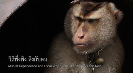 COVER_Thailand_Makes_Strides_in_Animal_Welfare_Amidst_a_Pandemic