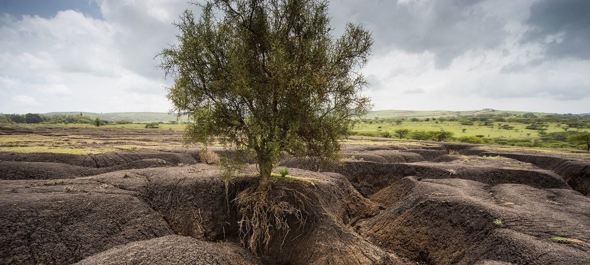 soil_erosion_Tanzania