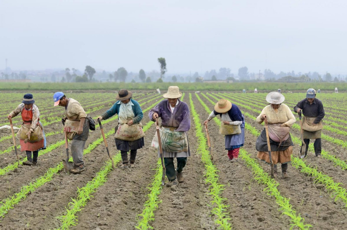 Farmers_Canete_basin_Peru
