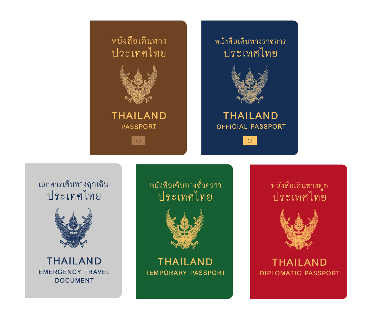 Passport_Vector-01