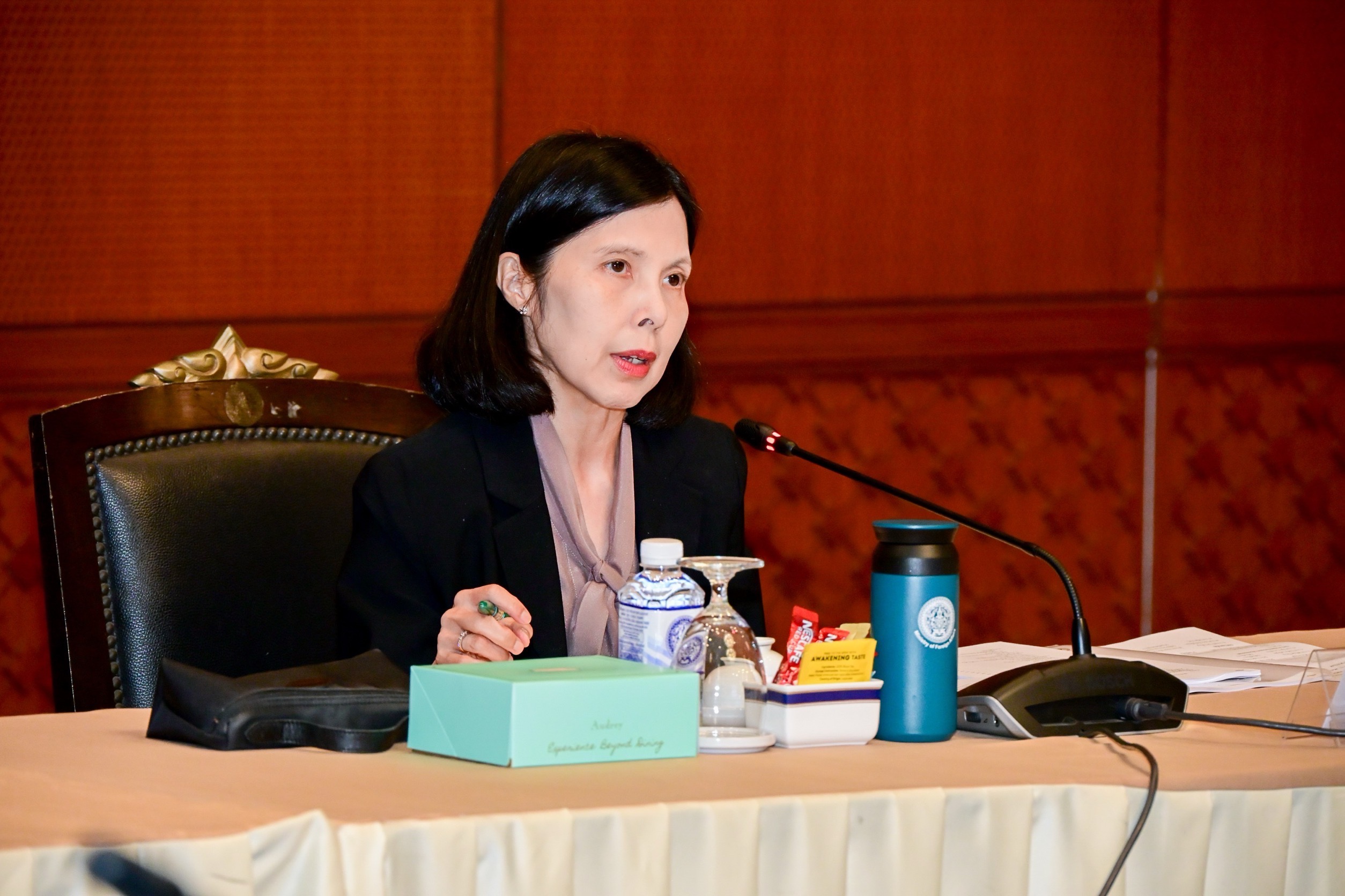 Thailand Prepares Fourth UPR Report – A Delayed Signal?