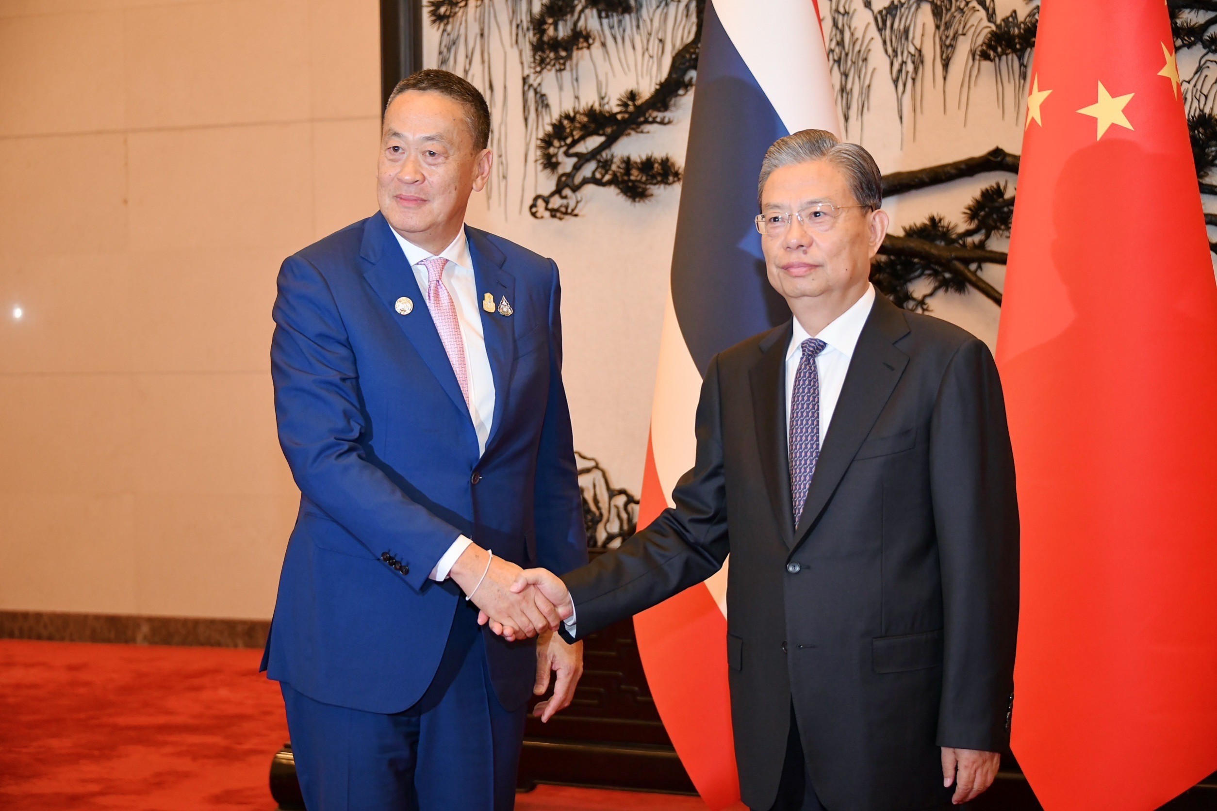 prime-minister-meets-with-chairman-of-the-standing-committee-of-the