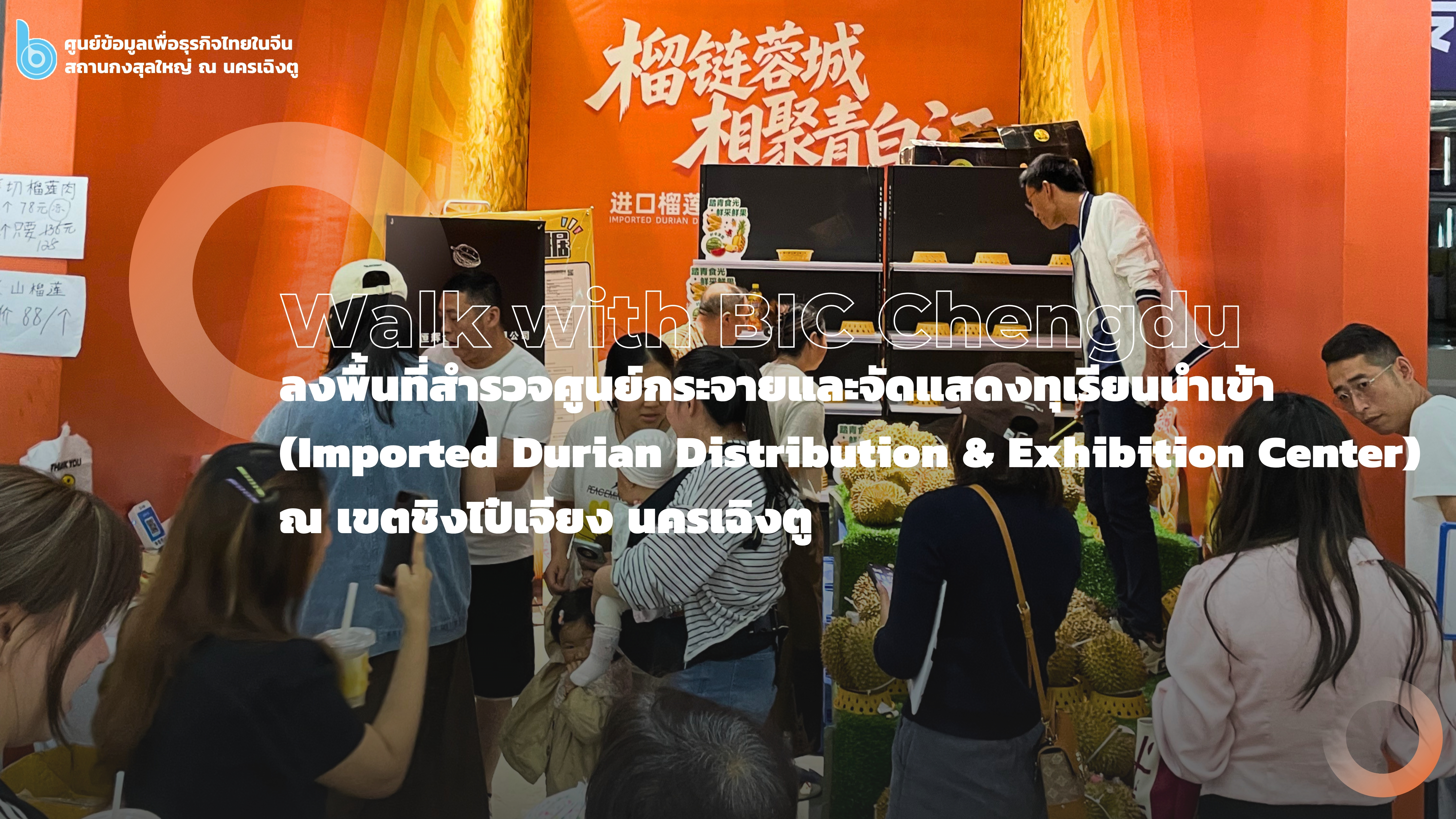 Imported_Durian_Distribution___Exhibition_Center