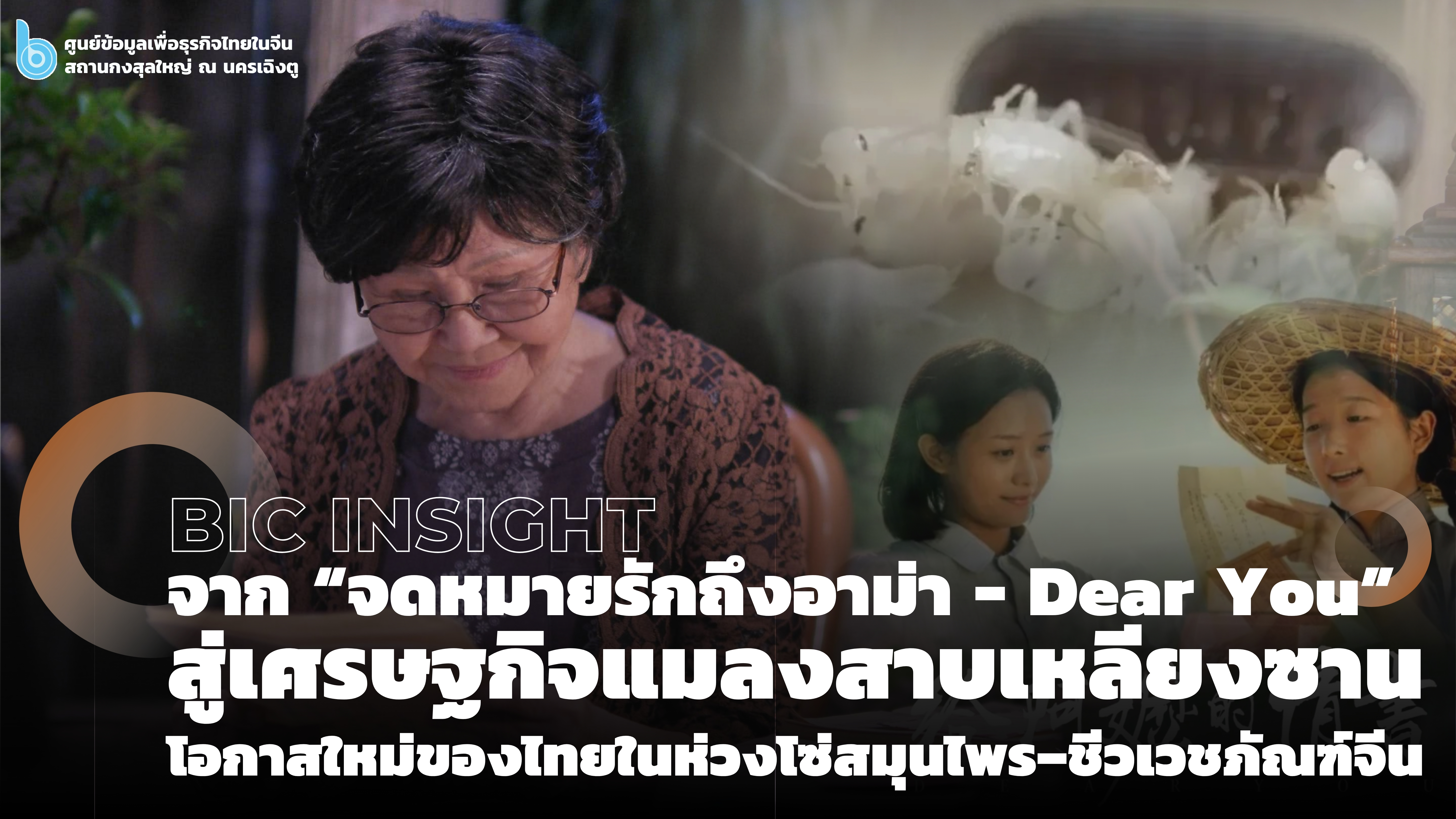 “จดหมายรักถึงอาม่า”