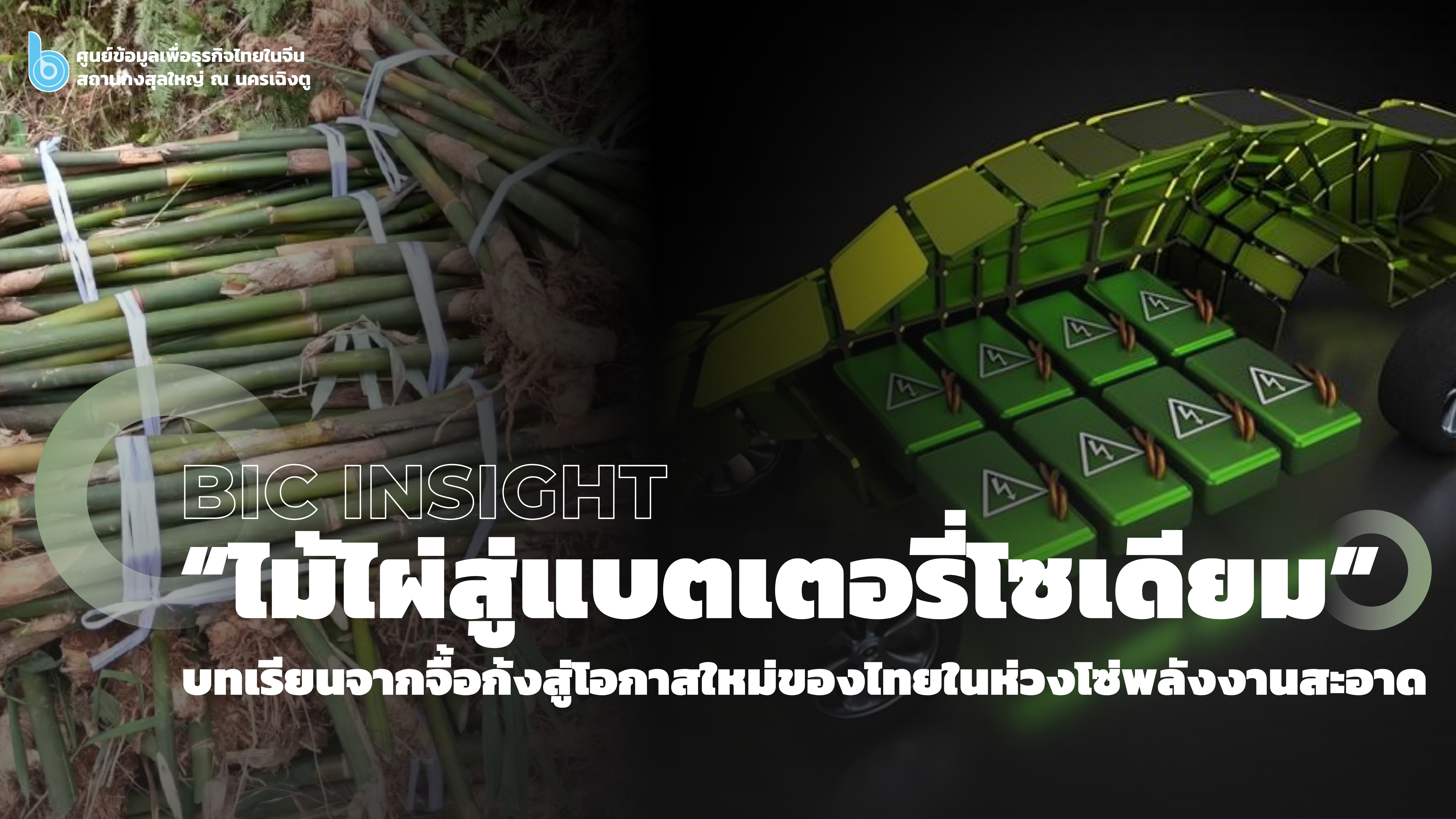 ไม้ไผ่สู่แบตเตอรี่โซเดียม
