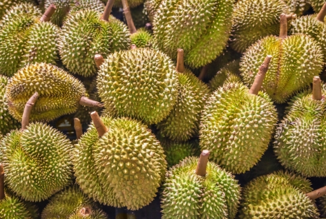 ทุเรียน_1