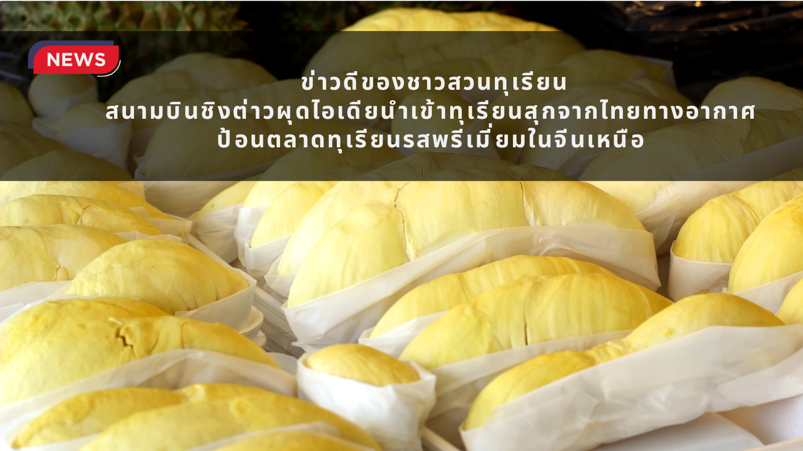 หัวข้อข่าว_(23)