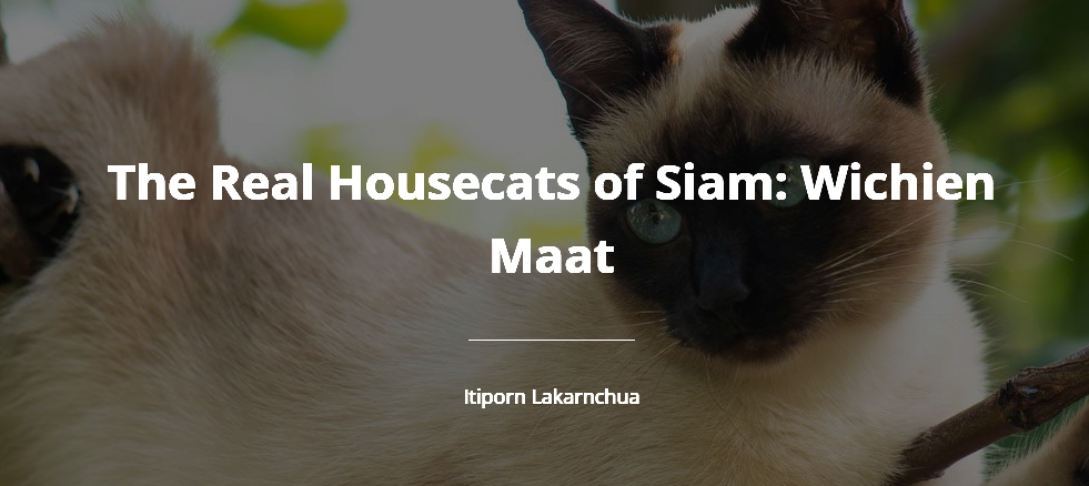 4._The_Real_Housecats_of_Siam