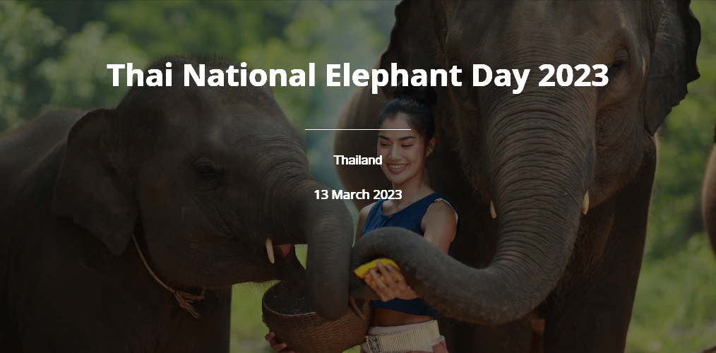 4._Thai_National_Elephant_Day_2023