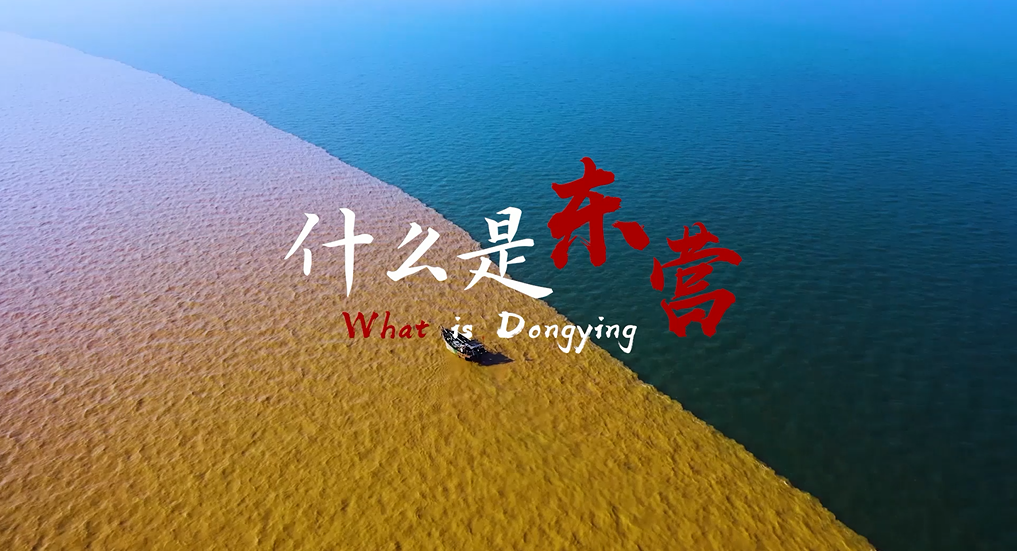 What_is_Dongying