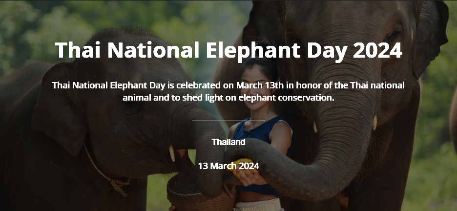 3._Thai_National_Elephant_Day_2024