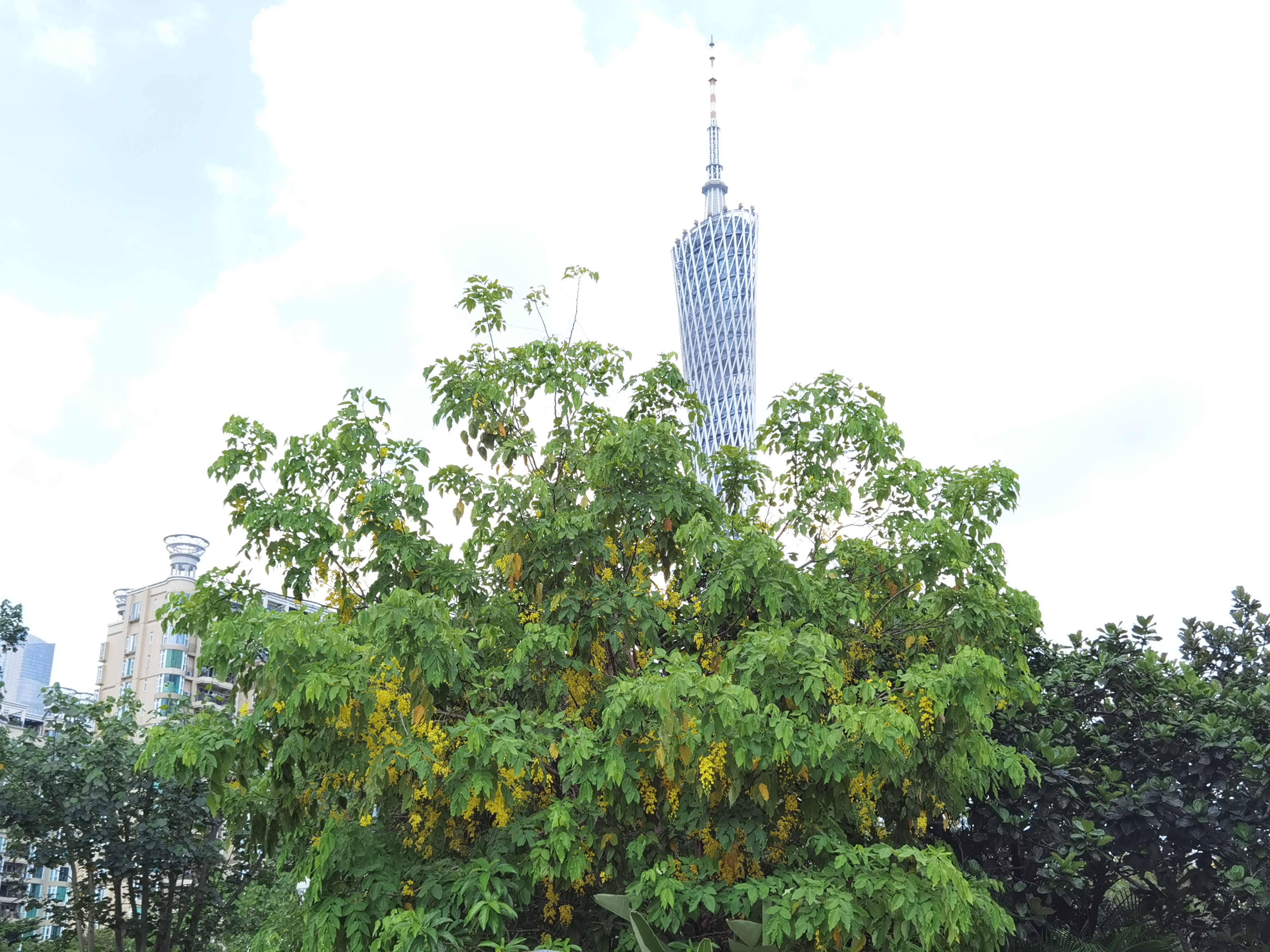 Weixin_Image_20260513150757_433_174